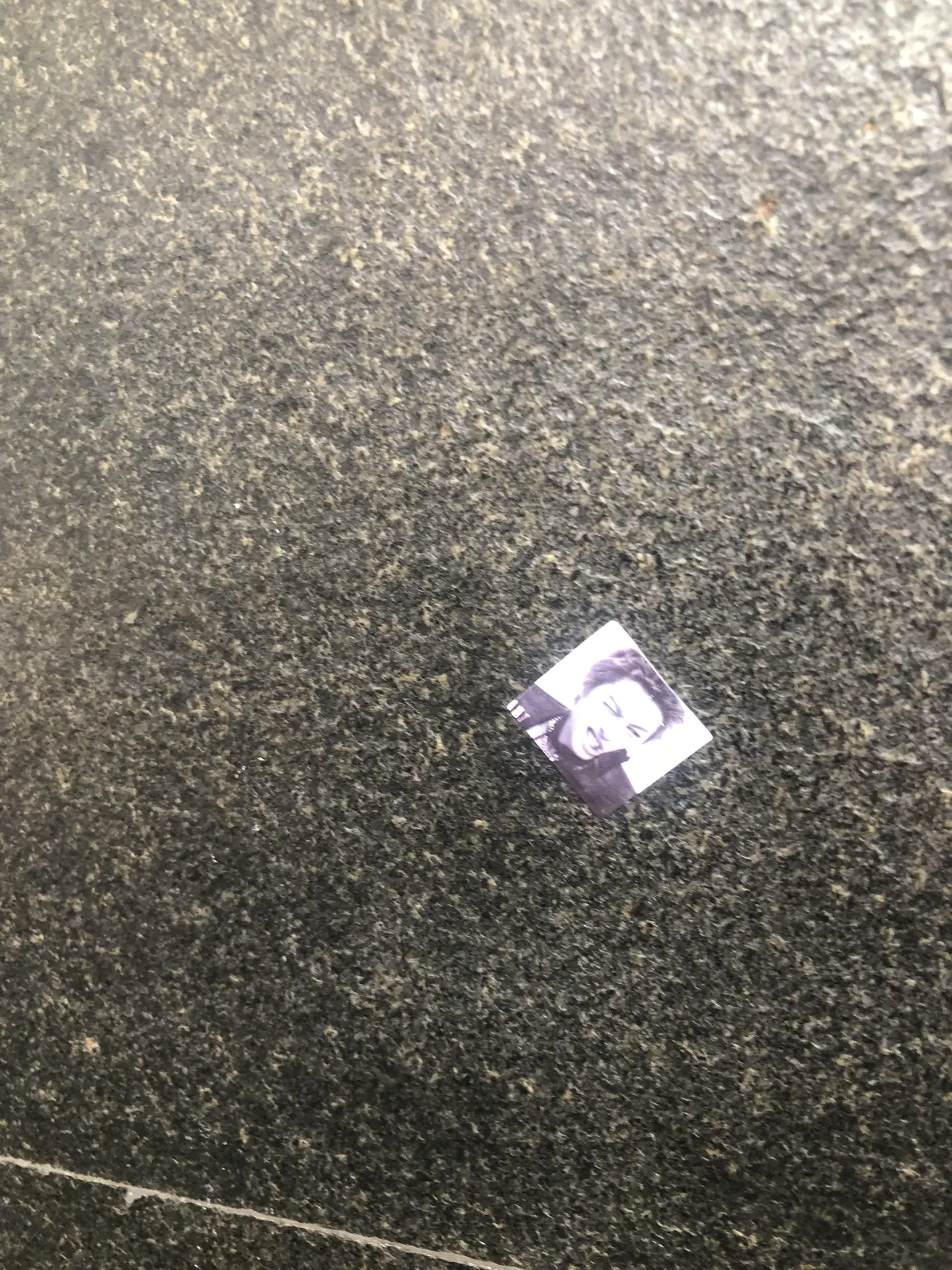 Casually finding a random in the wild (on a random wall on the street)