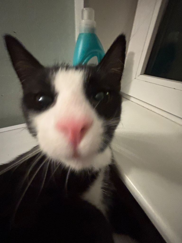 Chat media