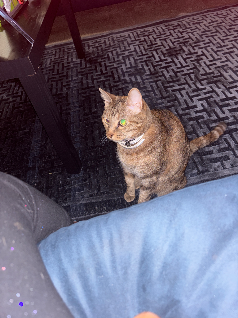Chat media