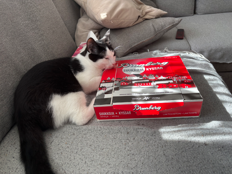 Chat media
