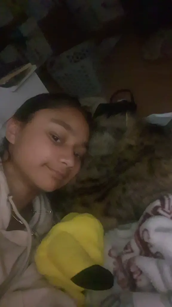 Chat media