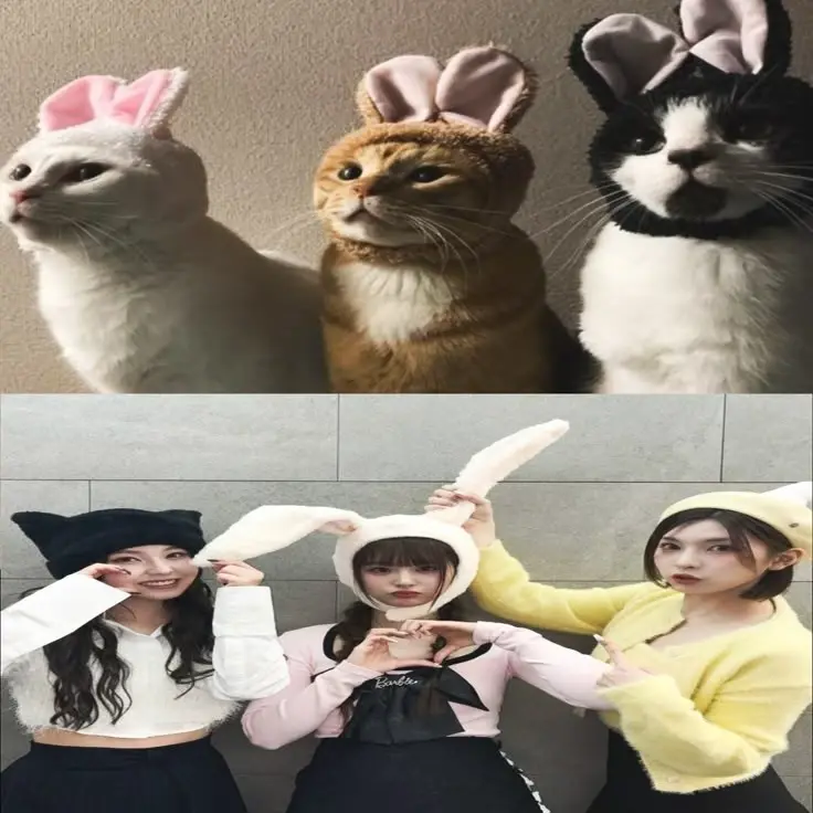 Chat media
