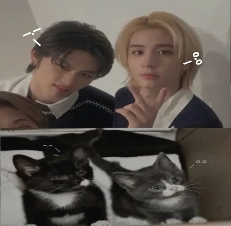 Chat media