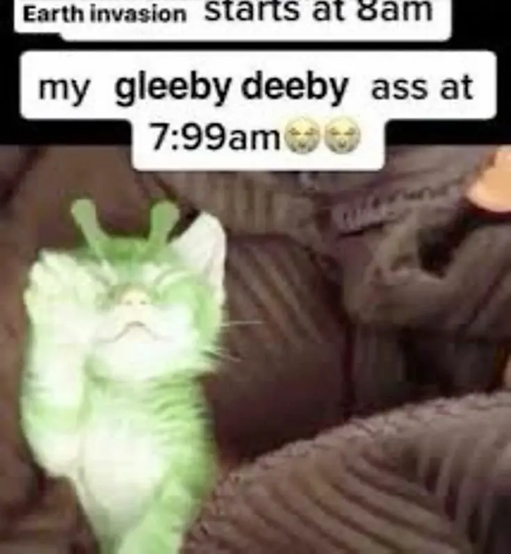 Chat media