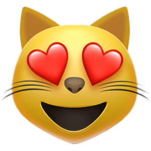 Chat media