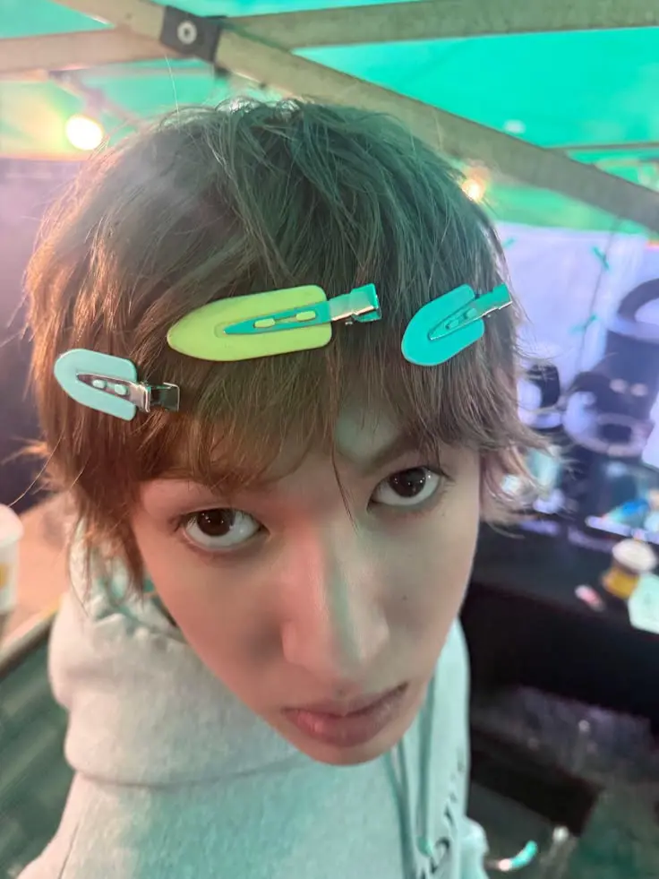 guysh i have the same hairclips as : 3