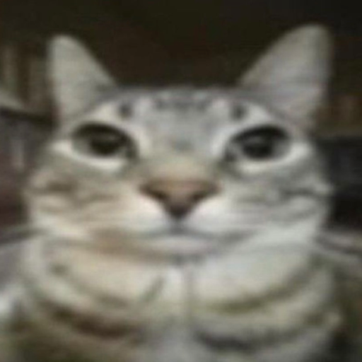 Chat media