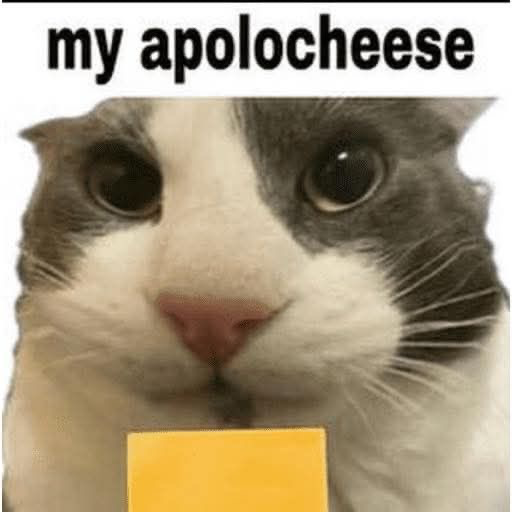 Chat media