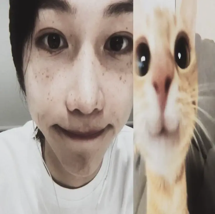 Chat media