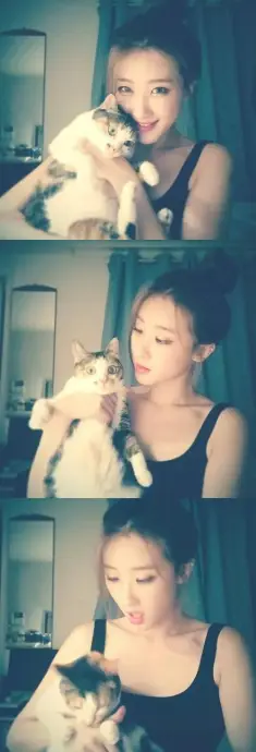 Chat media