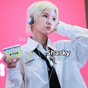 Sharky avatar