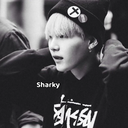 Sharky