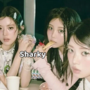 Sharky avatar