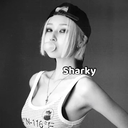 Sharky