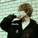 Sharky