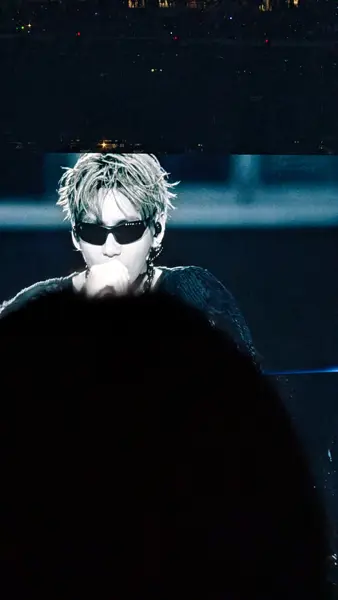 Arirang tour