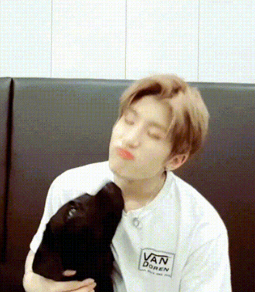 JinJin gif
