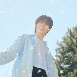 Kenshin gallery image