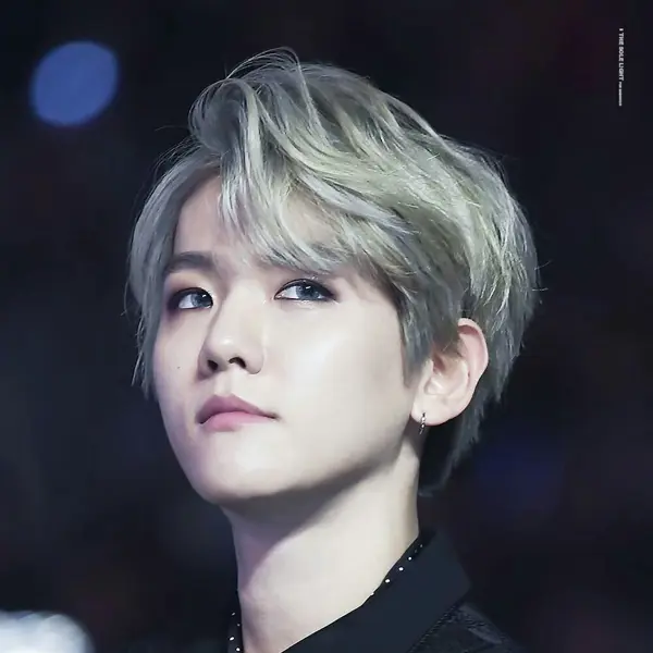Baekhyun gallery image