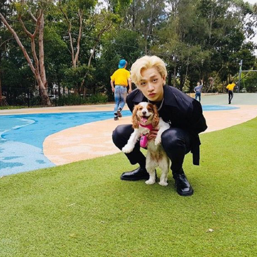 Bang Chan
