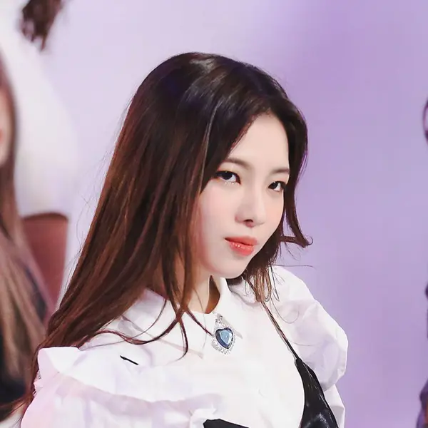 Jinha gallery image