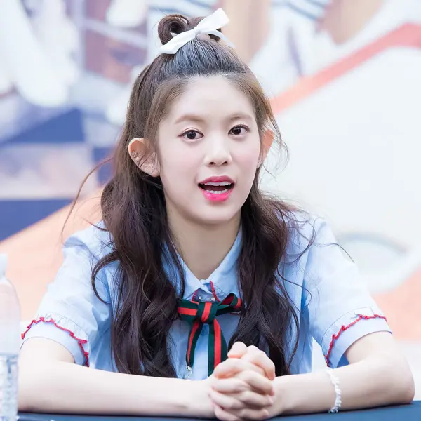 Daisy的图库图片