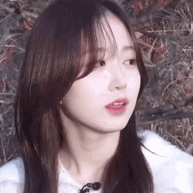 Haewon gif