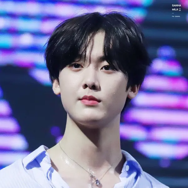 Sanha gallery image