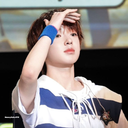 Sakuya gallery image