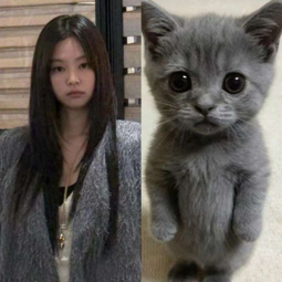 Jennie gallery image