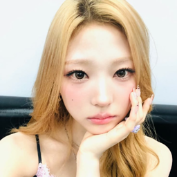 Stella gallery image