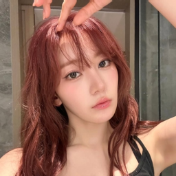 Sakura gallery image