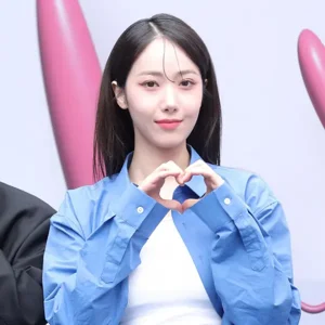 SinB gallery image