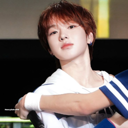 Sakuya gallery image