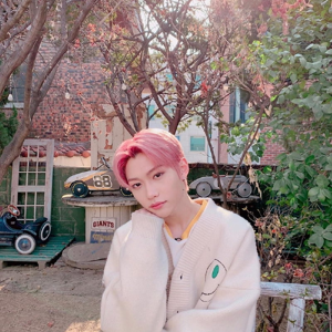 Felix 3