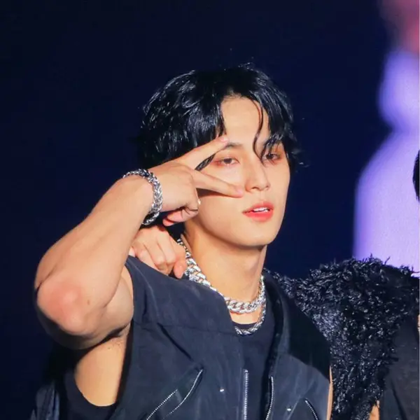 Mingyu gallery image