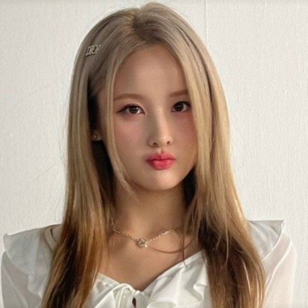 Belle的图库图片