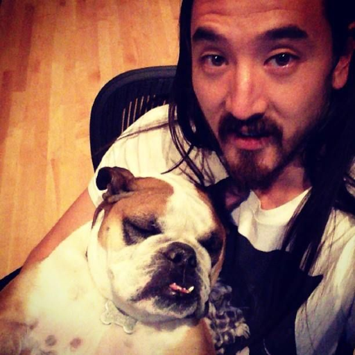 Imagen de la galería de Steve Aoki