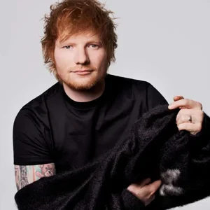 Ed Sheeran gallery image