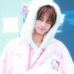 Hanjin gallery image