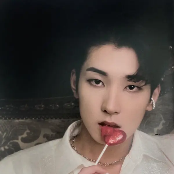 Wonwoo gallery image