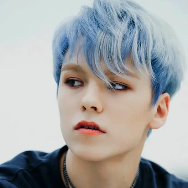 Vernon gallery image