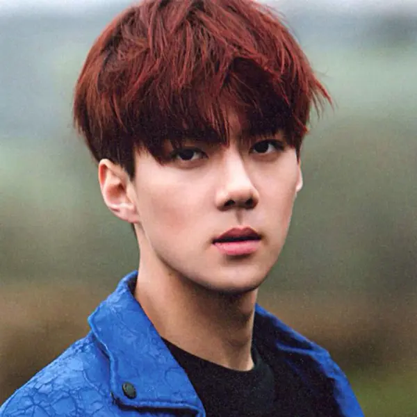 Sehun gallery image