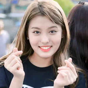 Ahin photo