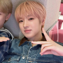 Sakuya gallery image