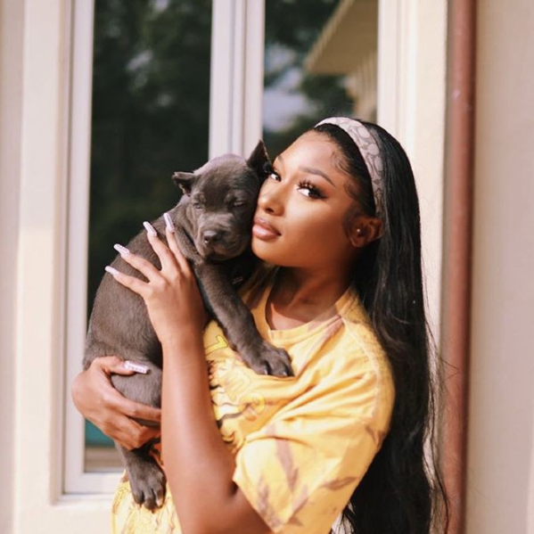 Gambar galeri Megan Thee Stallion