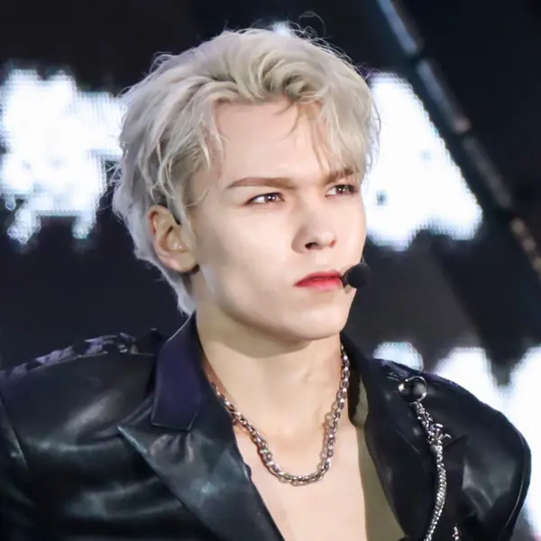 Vernon gallery image