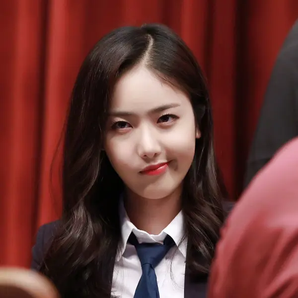 SinB gallery image