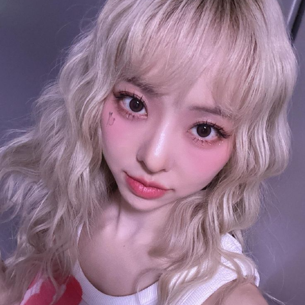 Gambar galeri Vivi