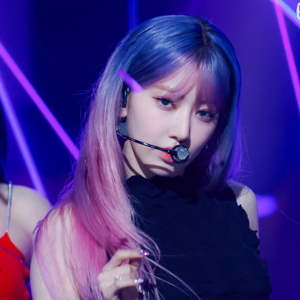 Sakura gallery image